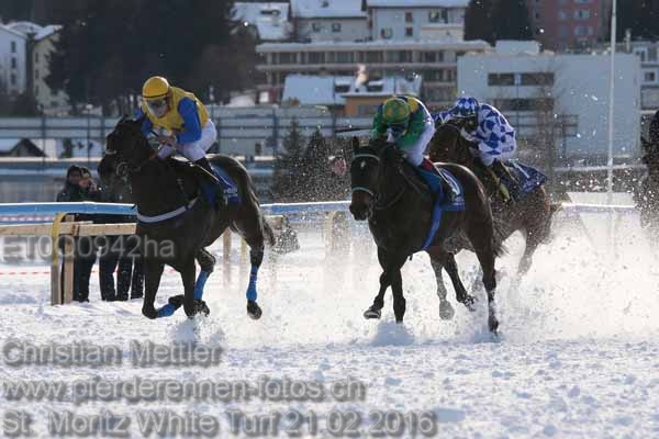 ET0Q0942ha prot